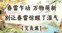 【二十四節(jié)氣灸】春雷驚醒濕氣！驚蟄艾灸3穴，疏肝祛濕養(yǎng)元氣！